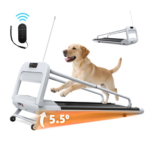 New Quiet Smart Pet Treadmill, Adjustable Speed, Perfect for Small/Medium Dogs
