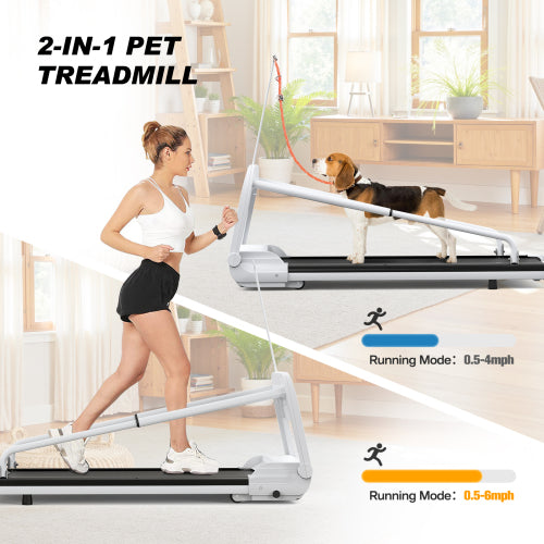 New Quiet Smart Pet Treadmill, Adjustable Speed, Perfect for Small/Medium Dogs