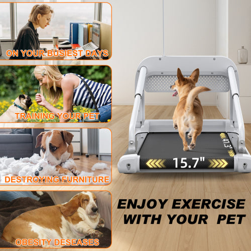 New Quiet Smart Pet Treadmill, Adjustable Speed, Perfect for Small/Medium Dogs