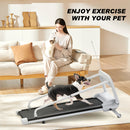 New Quiet Smart Pet Treadmill, Adjustable Speed, Perfect for Small/Medium Dogs