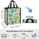 Lunch Bag for Men Women Portable Handbag for Work Picnic L067