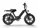Long Range Moped-Style Electric Bike for City Riding 750W 48V 17.5Ah