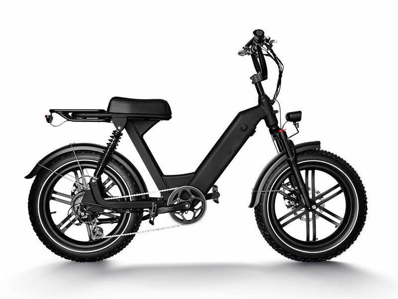 Long Range Moped-Style Electric Bike for City Riding 750W 48V 17.5Ah