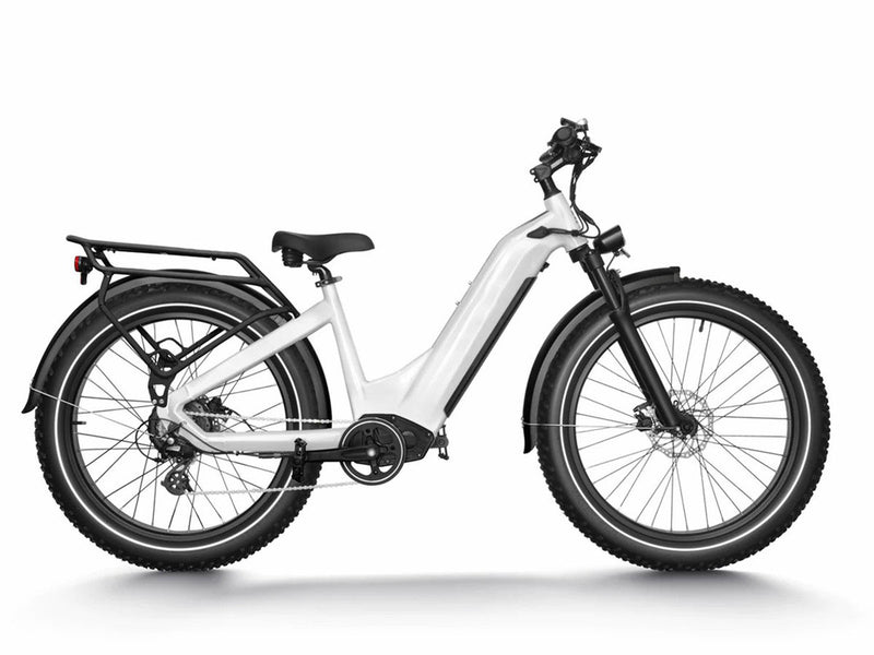 Premium All-terrain Electric Fat Bike for Outdoor 750W 48V 20Ah