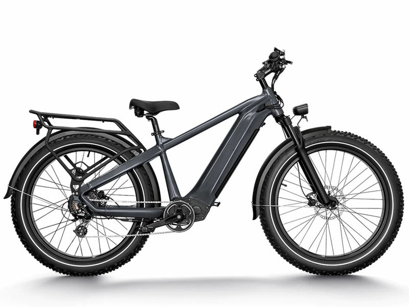 Premium All-terrain Electric Fat Bike Grey 750W 48V 20Ah