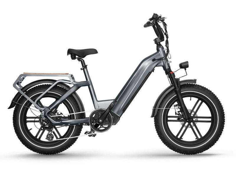 Electric Cargo Bike Big Dog for City Riding 750W 48V 20Ah