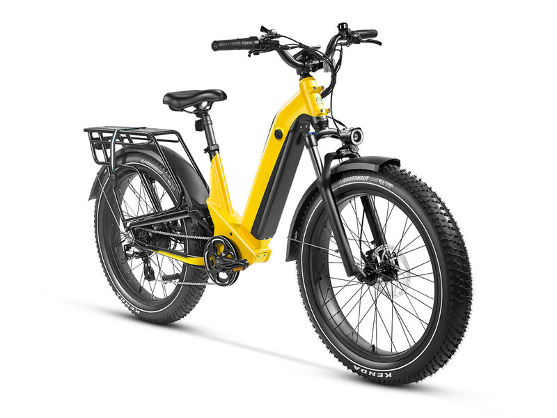 Electric Bike SUV Deer Full Suspension Ebike