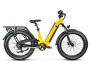 Electric Bike SUV Deer Full Suspension Ebike