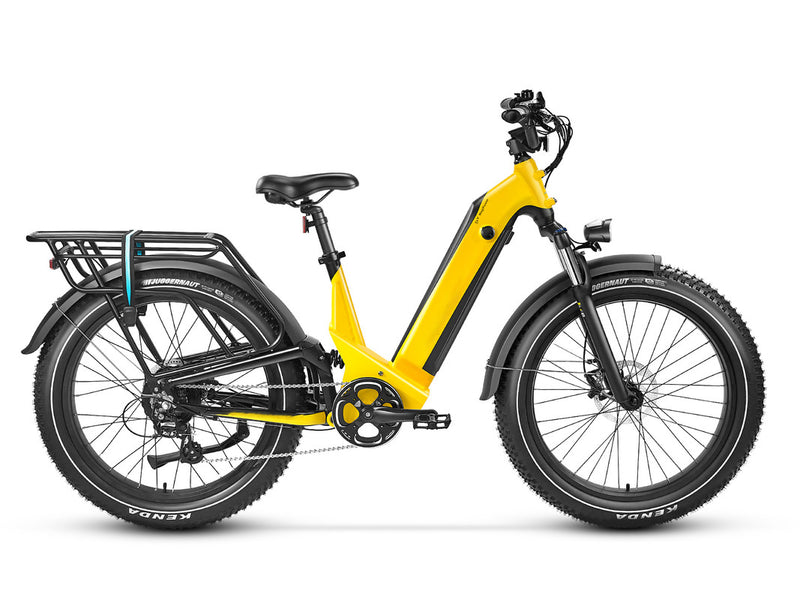 Electric Bike SUV Deer Full Suspension Ebike