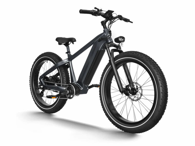 Premium All-terrain Electric Fat Bike Grey 750W 48V 20Ah