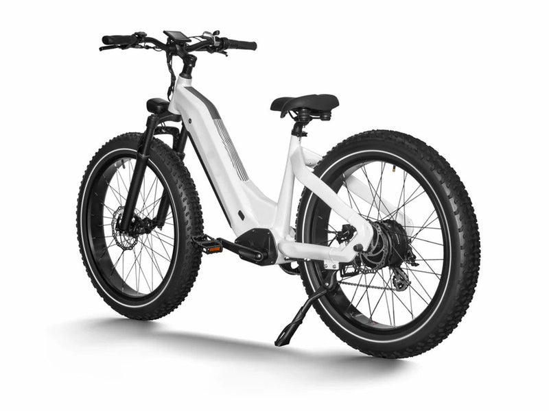 Premium All-terrain Electric Fat Bike for Outdoor 750W 48V 20Ah