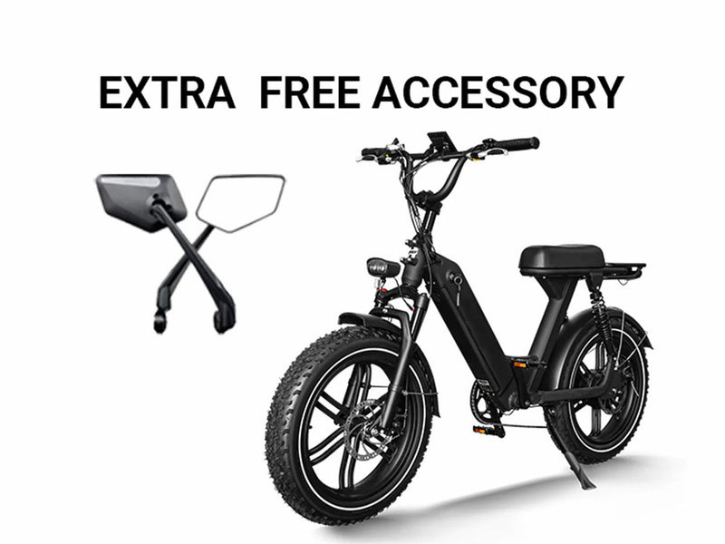 Long Range Moped-Style Electric Bike for City Riding 750W 48V 17.5Ah