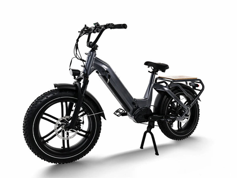 Electric Cargo Bike Big Dog for City Riding 750W 48V 20Ah