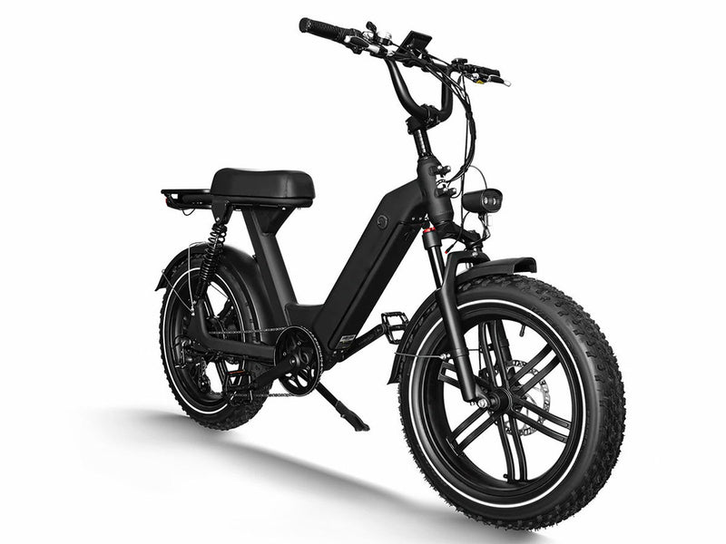 Long Range Moped-Style Electric Bike for City Riding 750W 48V 17.5Ah