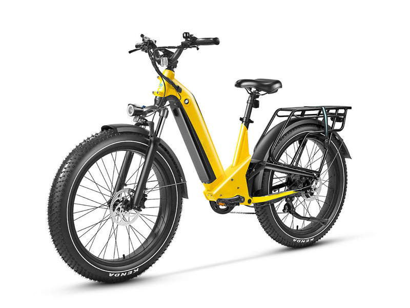 Electric Bike SUV Deer Full Suspension Ebike