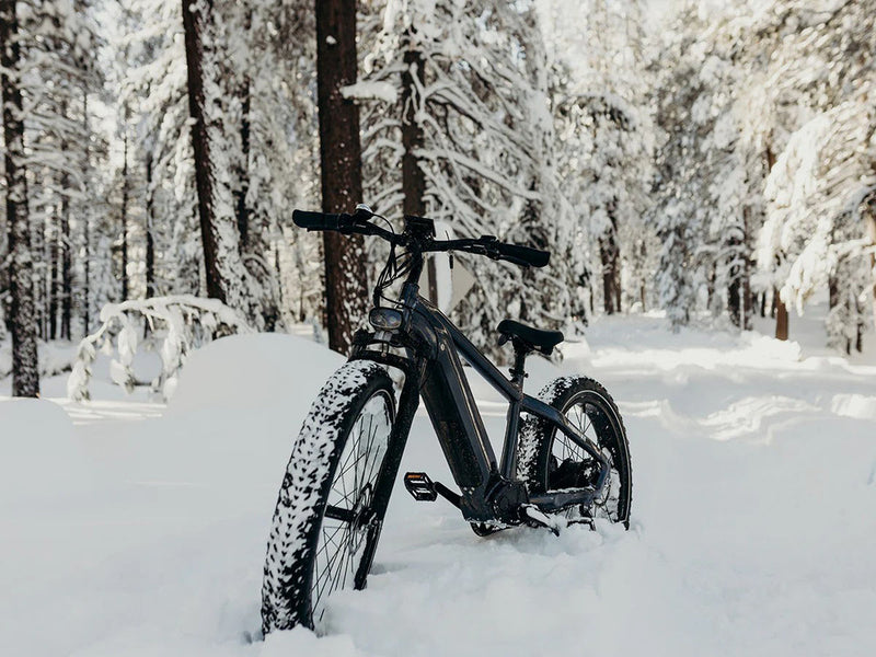 Premium All-terrain Electric Fat Bike Grey 750W 48V 20Ah