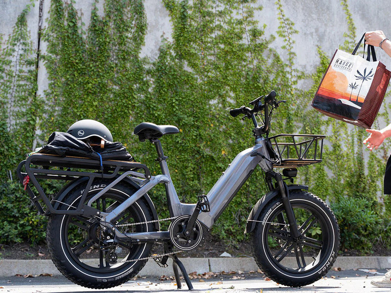 Electric Cargo Bike Big Dog for City Riding 750W 48V 20Ah