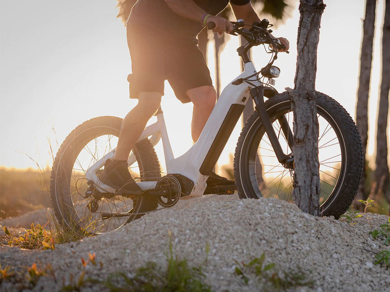 Premium All-terrain Electric Fat Bike for Outdoor 750W 48V 20Ah