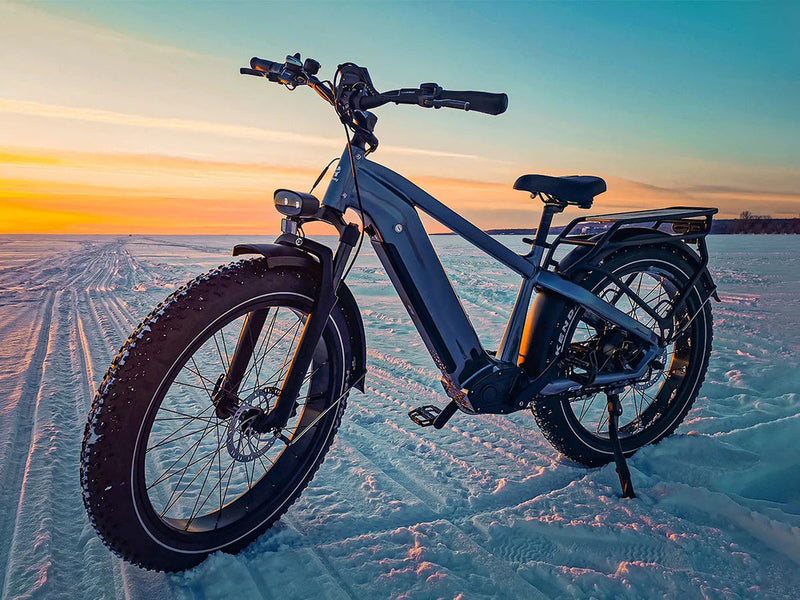 Premium All-terrain Electric Fat Bike Grey 750W 48V 20Ah