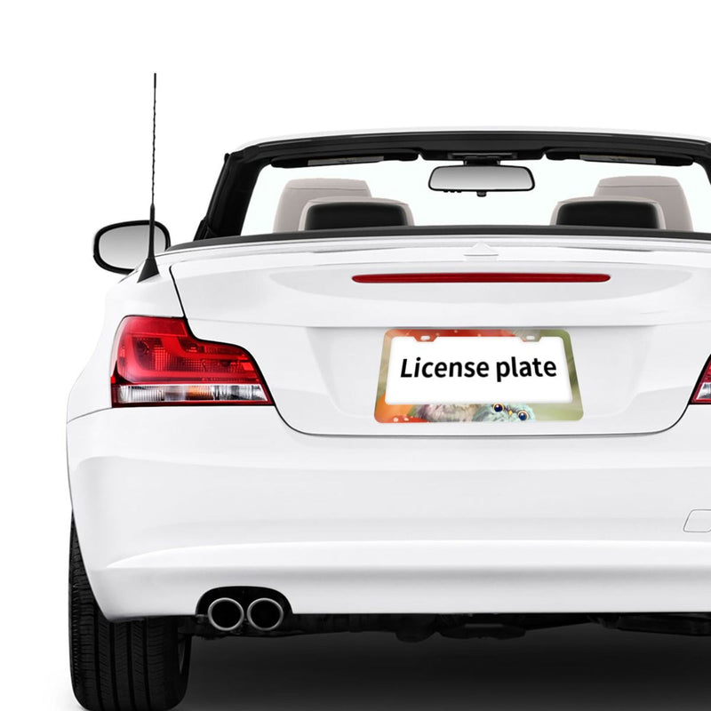 Personalise License Plate Frame for Men Women Car Universal Stainless Steel Accessories D047