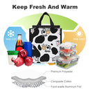 Lunch Bag for Men Women Portable Handbag for Work Picnic L095