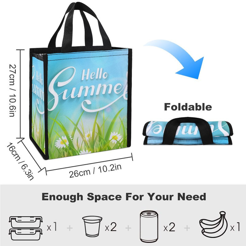 Lunch Bag for Men Women Portable Handbag for Work Picnic L027