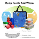 Lunch Bag for Men Women Portable Handbag for Work Picnic L072